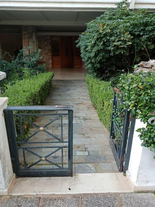 Cozy Studio Maria In Paleo Faliro Αθήνα Εξωτερικό φωτογραφία